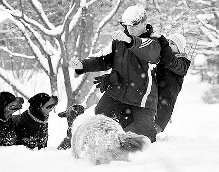 Ляшко в адідасі "Шахтаря" показав сніжні розваги з дружиною (фото)